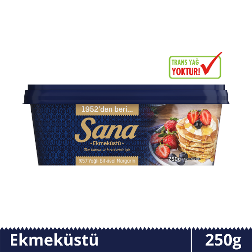SANA KASE EKMEK ÜSTÜ 250 GR 32'Lİ resmi