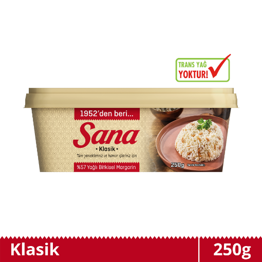 SANA KASE KLASİK 250 GR 32'Lİ resmi