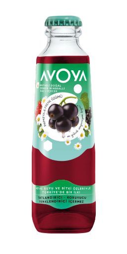 AVOYA MEYVELI FRENK ÜZÜMLÜ 200 ML resmi